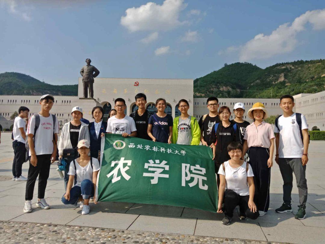 幻想三国2